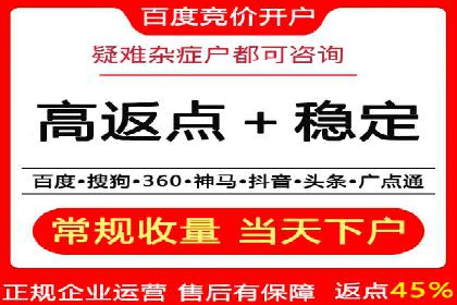 SEM网络推广案例：打造行业影响力品牌